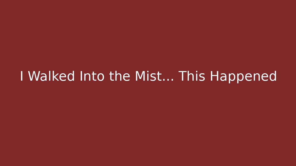 I Walked Into the Mist... This Happened