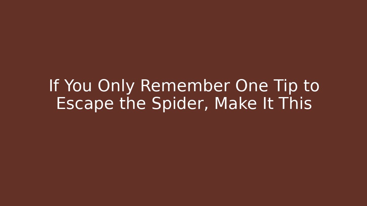 If You Only Remember One Tip to Escape the Spider, Make It This
