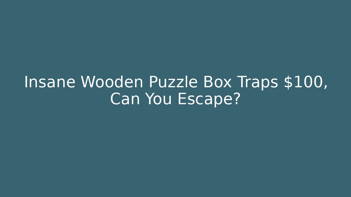 Insane Wooden Puzzle Box Traps $100, Can You Escape?
