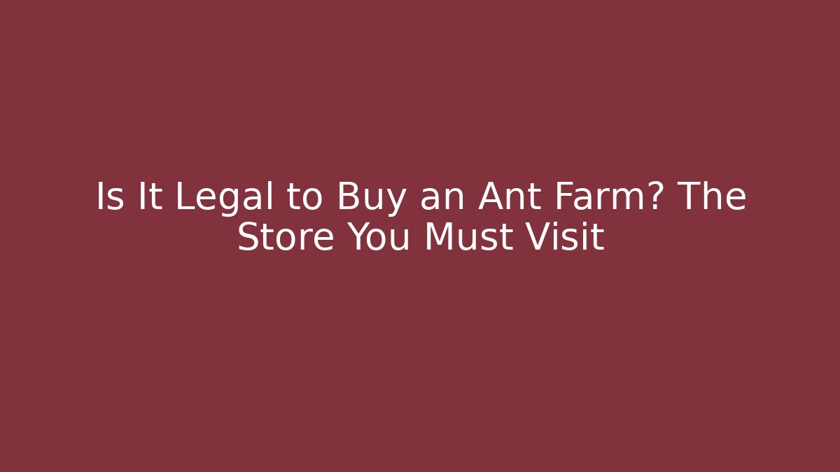 Is It Legal to Buy an Ant Farm? The Store You Must Visit