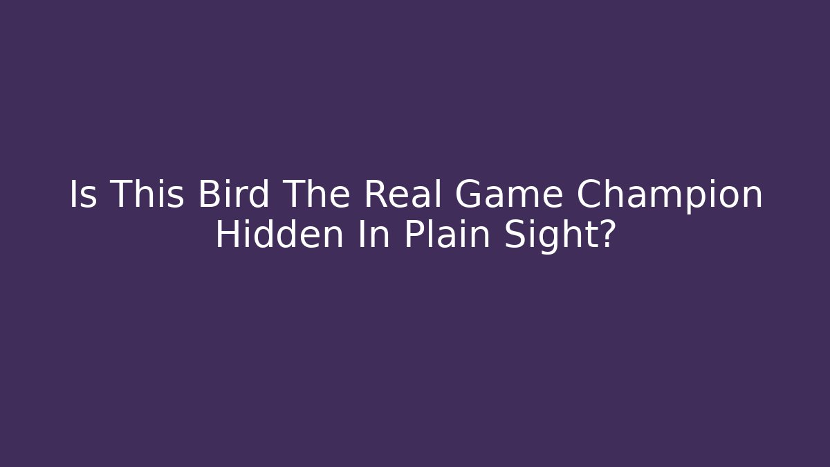 Is This Bird The Real Game Champion Hidden In Plain Sight?