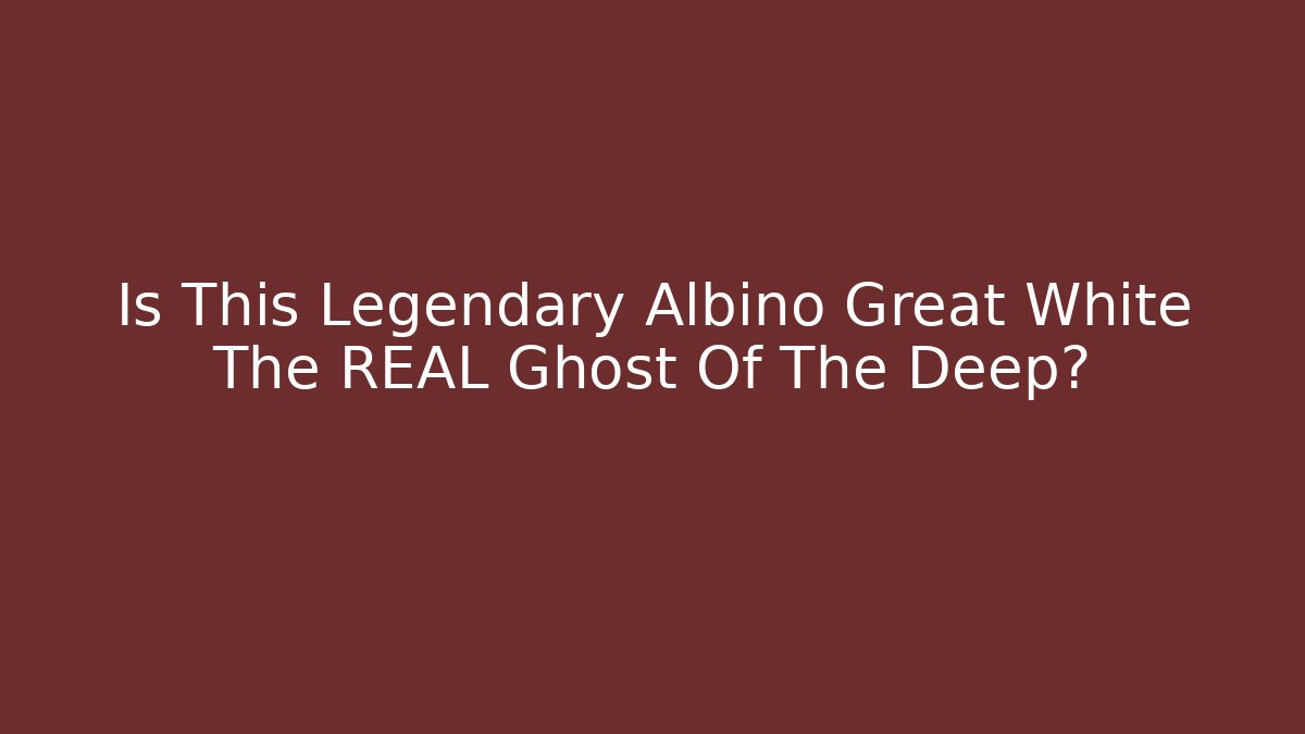 Is This Legendary Albino Great White The REAL Ghost Of The Deep?