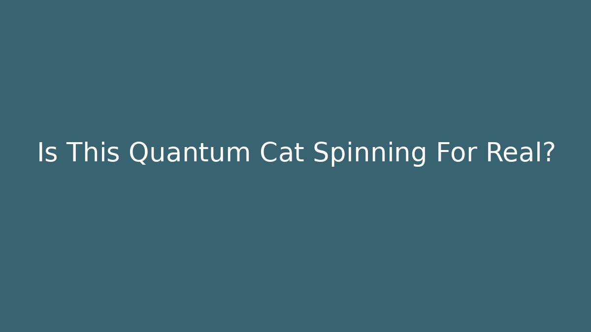 Is This Quantum Cat Spinning For Real?
