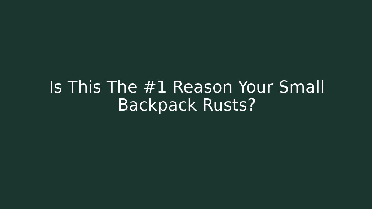 Is This The #1 Reason Your Small Backpack Rusts?