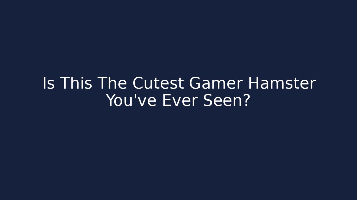 Is This The Cutest Gamer Hamster You've Ever Seen?
