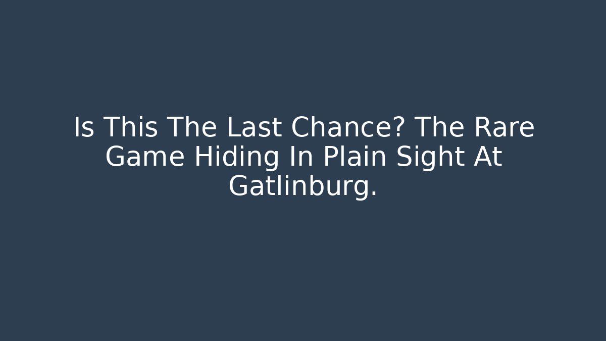 Is This The Last Chance? The Rare Game Hiding In Plain Sight At Gatlinburg.