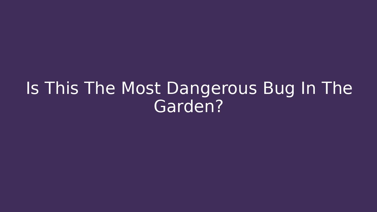 Is This The Most Dangerous Bug In The Garden?