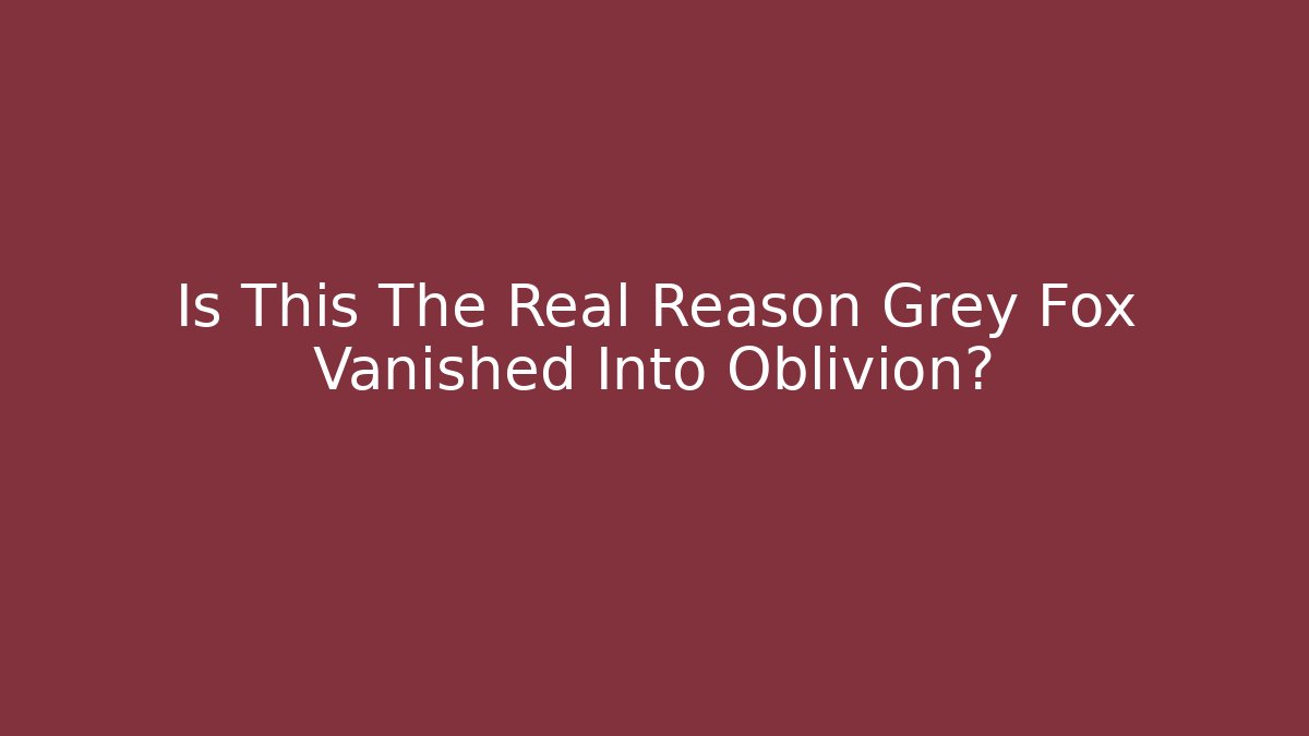 Is This The Real Reason Grey Fox Vanished Into Oblivion?