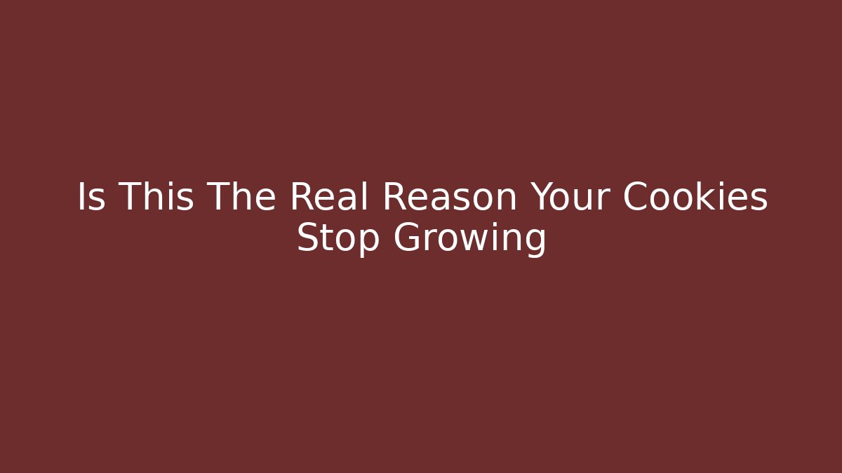 Is This The Real Reason Your Cookies Stop Growing