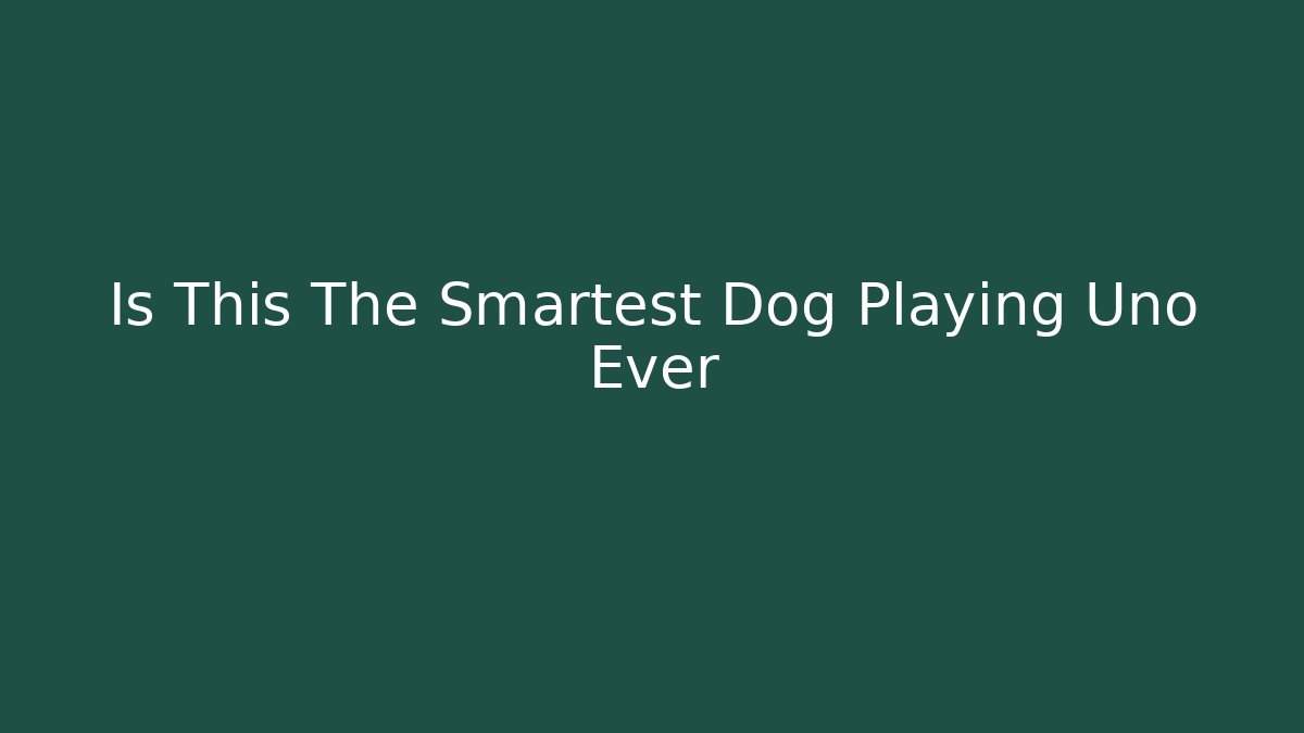 Is This The Smartest Dog Playing Uno Ever