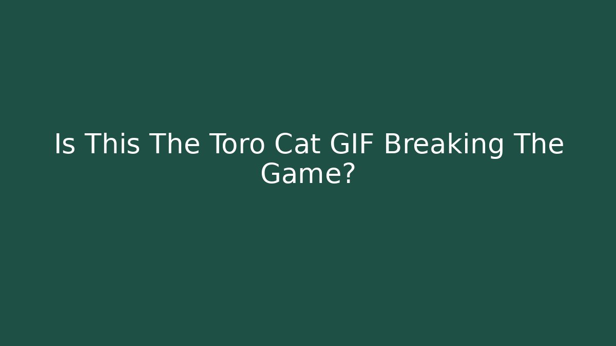 Is This The Toro Cat GIF Breaking The Game?