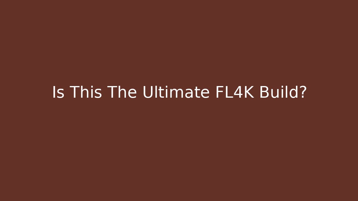 Is This The Ultimate FL4K Build?