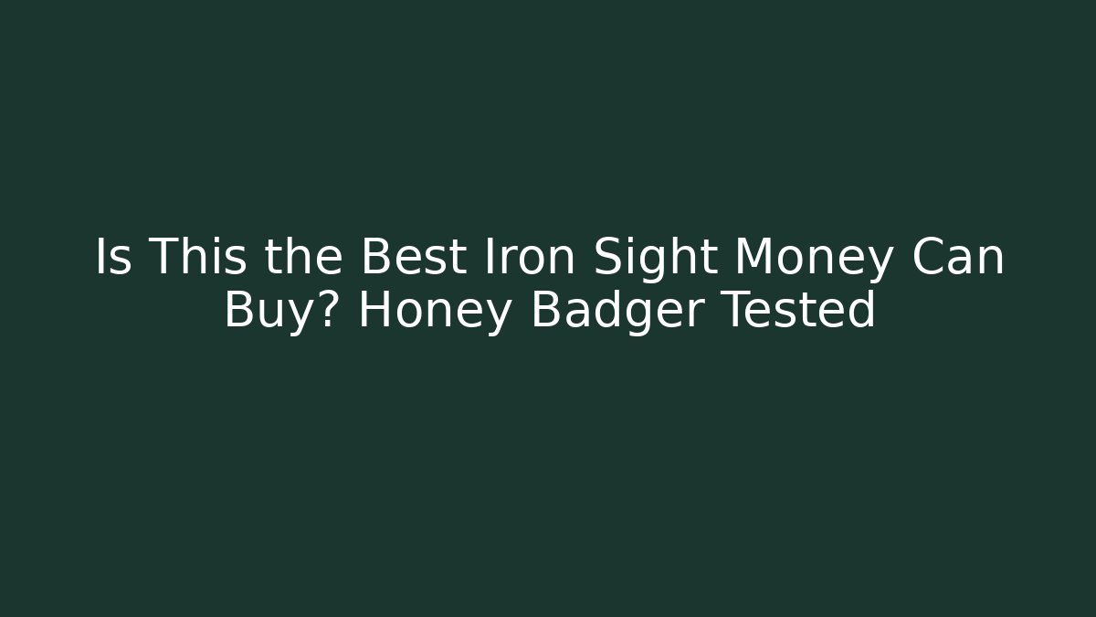 Is This the Best Iron Sight Money Can Buy? Honey Badger Tested