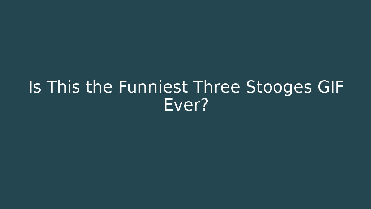 Is This the Funniest Three Stooges GIF Ever?