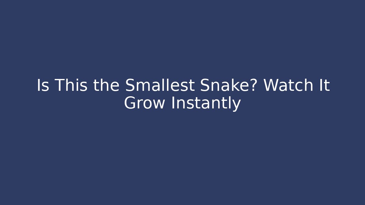 Is This the Smallest Snake? Watch It Grow Instantly