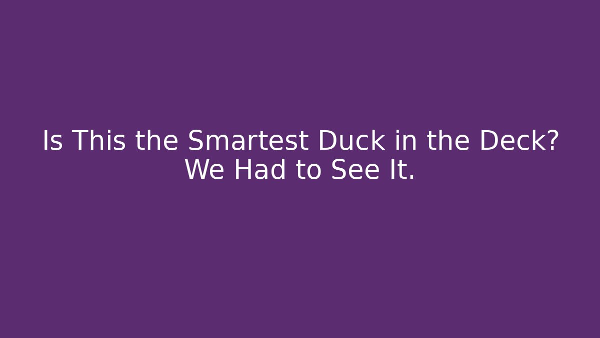 Is This the Smartest Duck in the Deck? We Had to See It.
