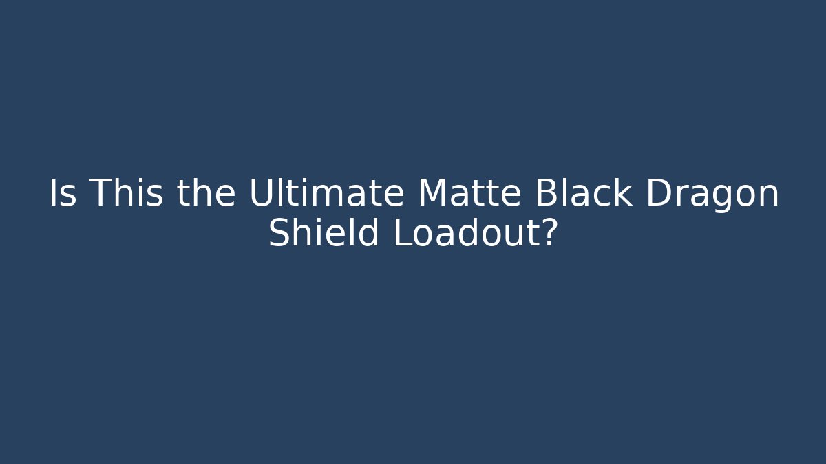 Is This the Ultimate Matte Black Dragon Shield Loadout?