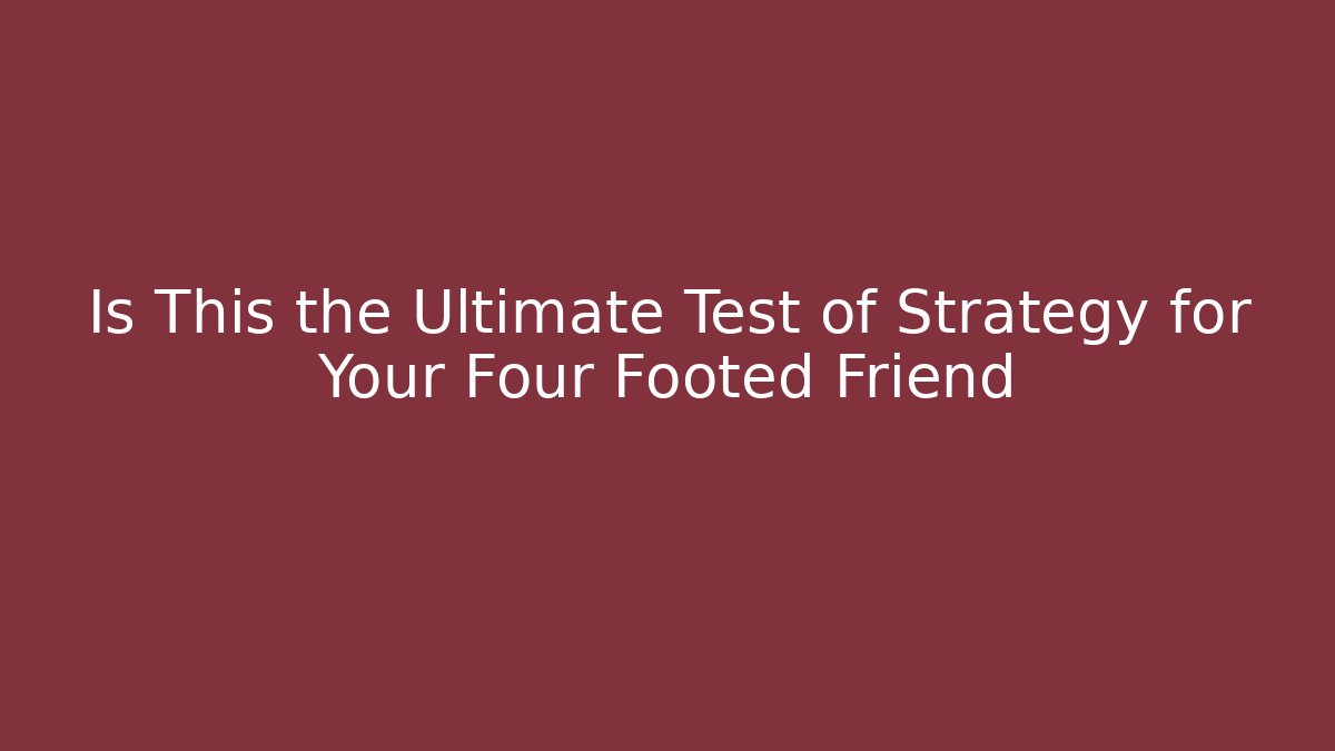 Is This the Ultimate Test of Strategy for Your Four Footed Friend