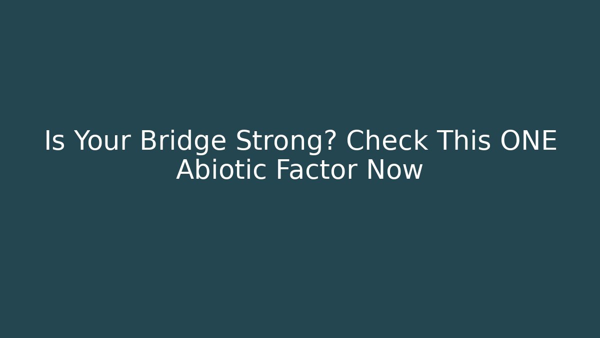 Is Your Bridge Strong? Check This ONE Abiotic Factor Now