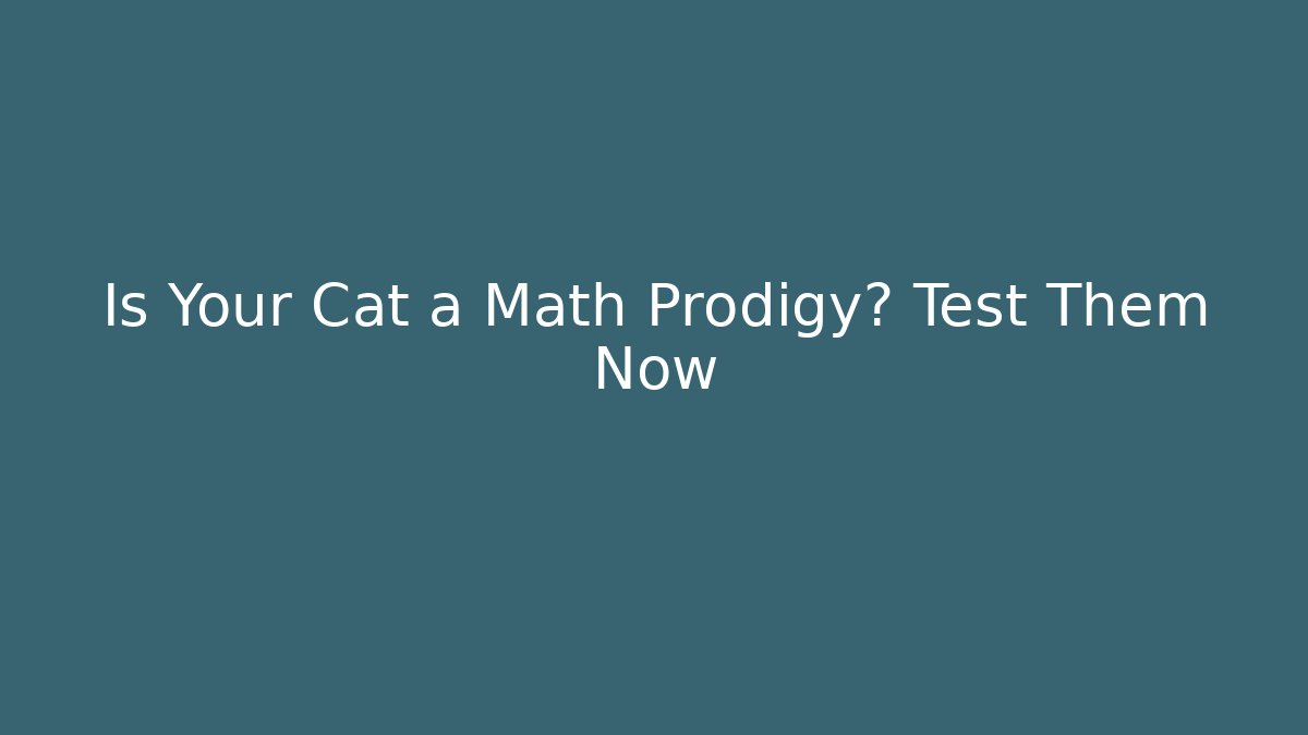 Is Your Cat a Math Prodigy? Test Them Now