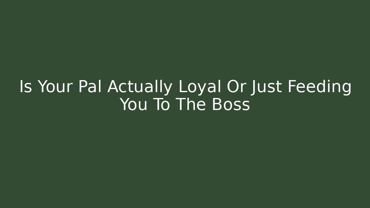 Is Your Pal Actually Loyal Or Just Feeding You To The Boss