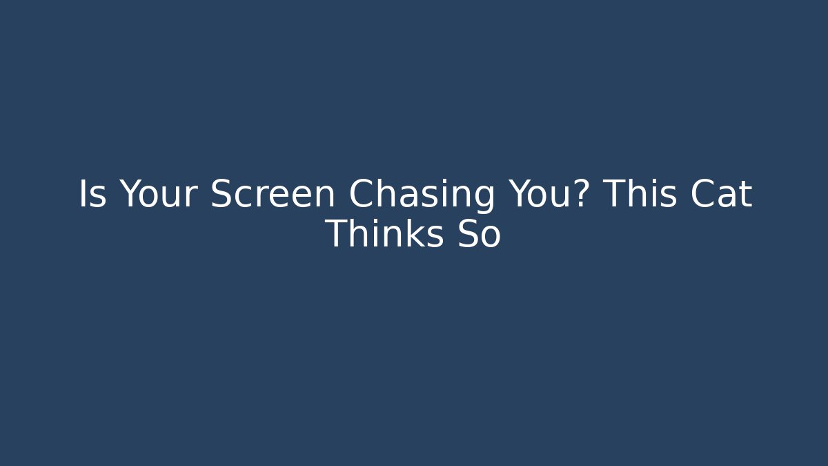 Is Your Screen Chasing You? This Cat Thinks So