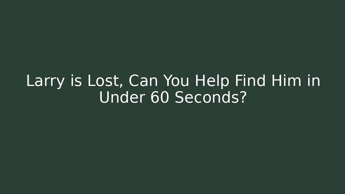 Larry is Lost, Can You Help Find Him in Under 60 Seconds?