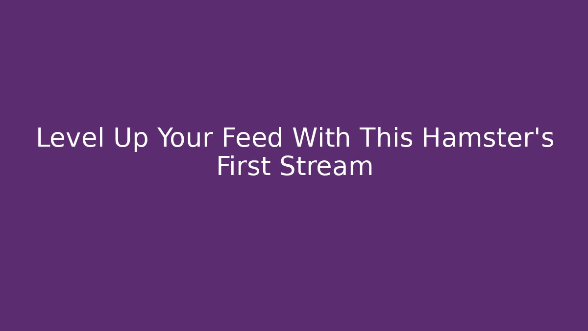 Level Up Your Feed With This Hamster's First Stream