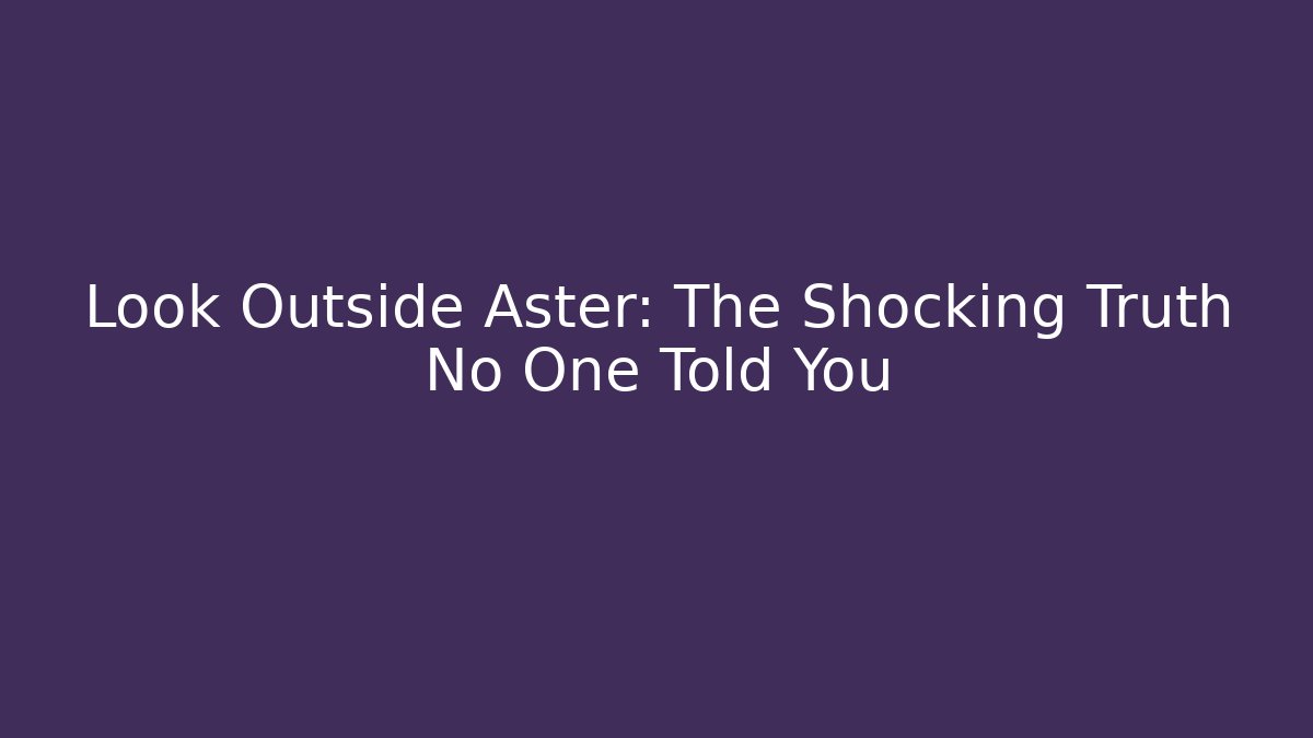 Look Outside Aster: The Shocking Truth No One Told You