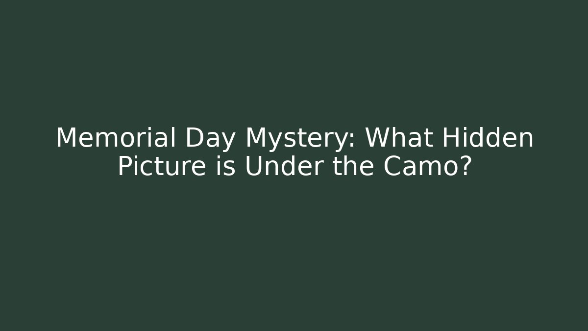 Memorial Day Mystery: What Hidden Picture is Under the Camo?