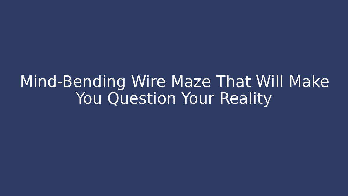 Mind-Bending Wire Maze That Will Make You Question Your Reality