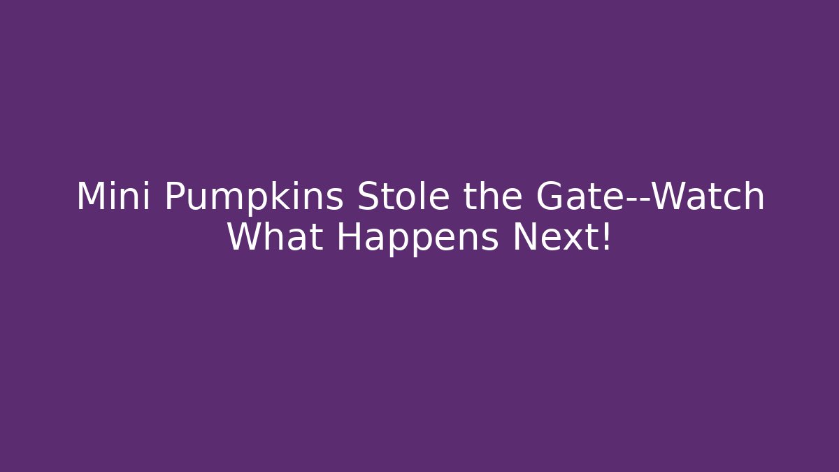 Mini Pumpkins Stole the Gate—Watch What Happens Next!