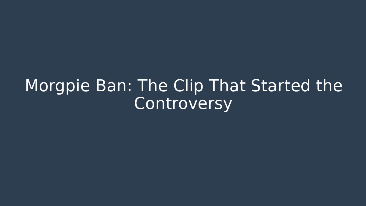 Morgpie Ban: The Clip That Started the Controversy