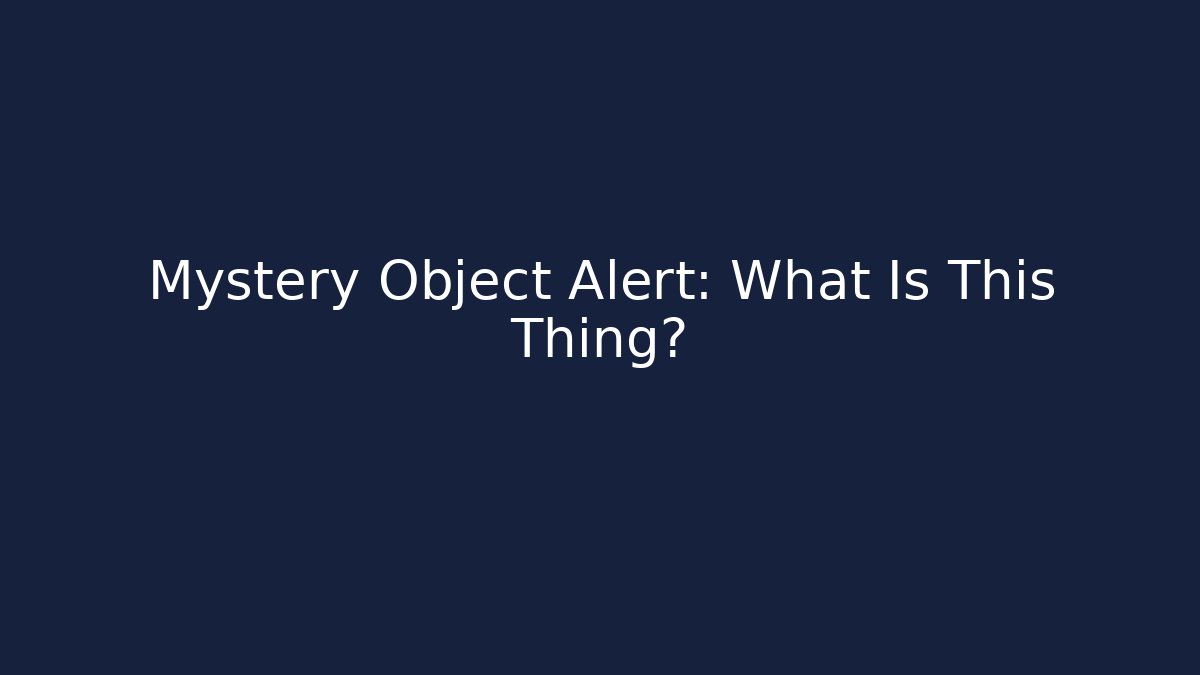 Mystery Object Alert: What Is This Thing?