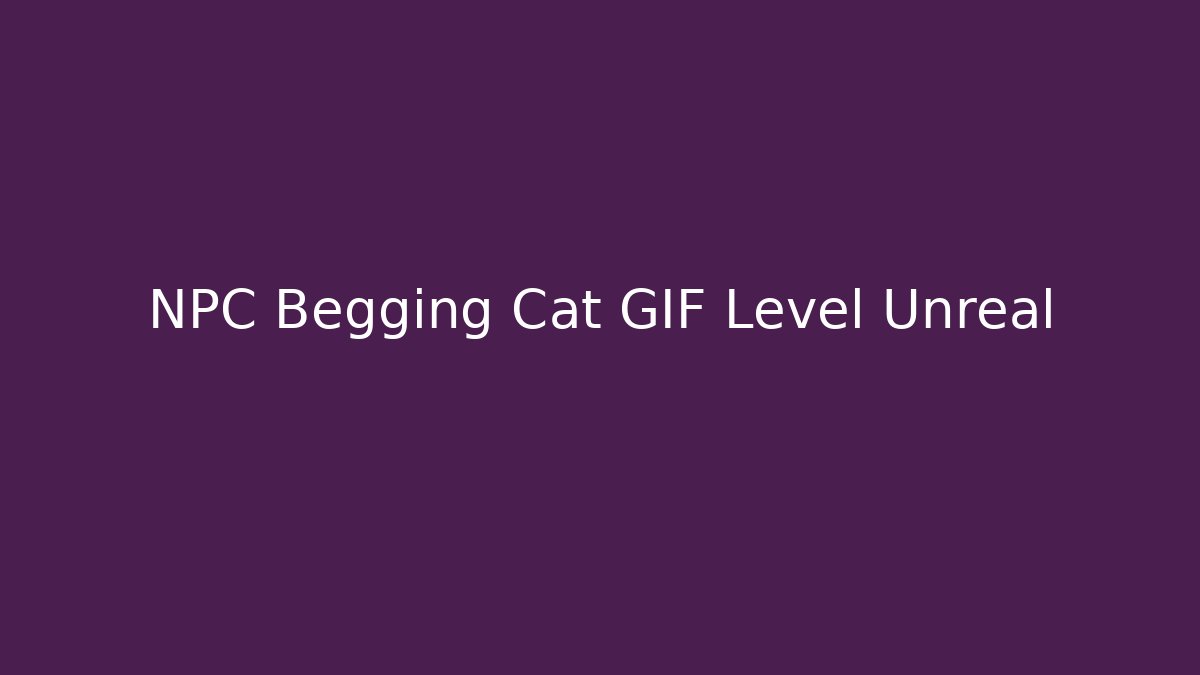 NPC Begging Cat GIF Level Unreal