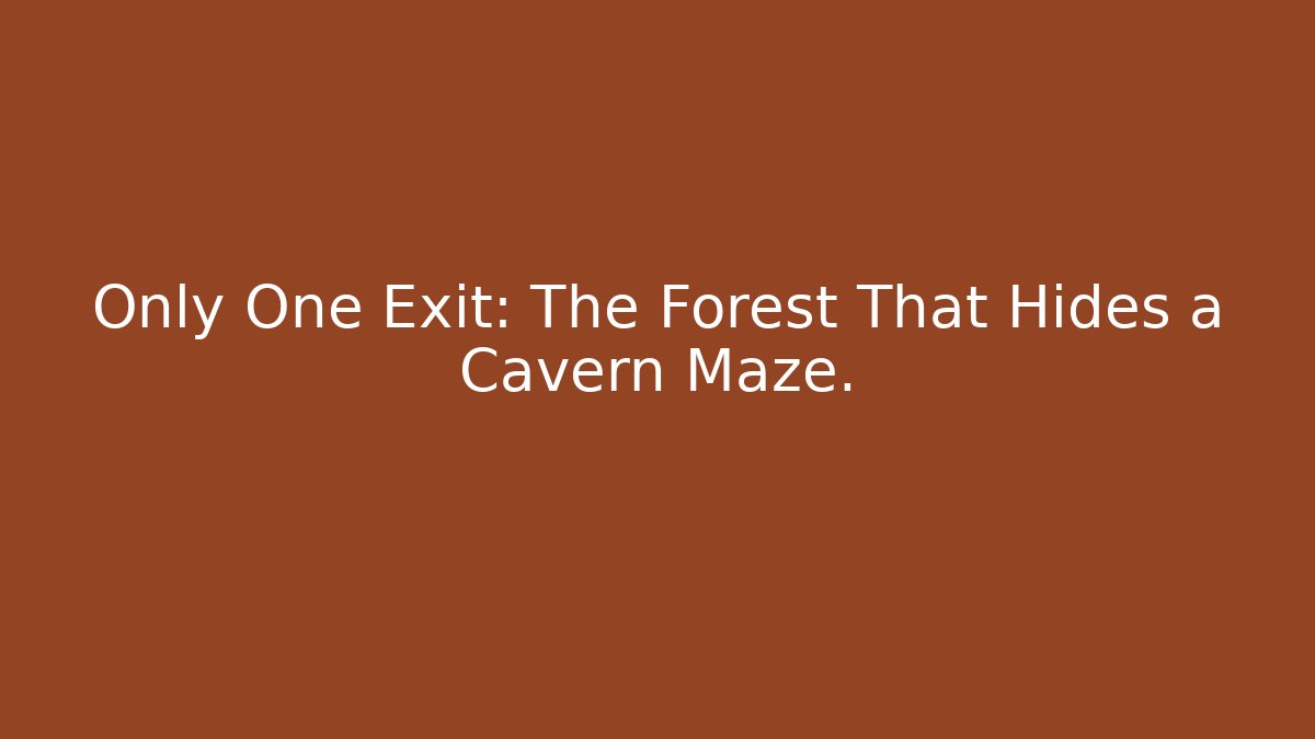 Only One Exit: The Forest That Hides a Cavern Maze.