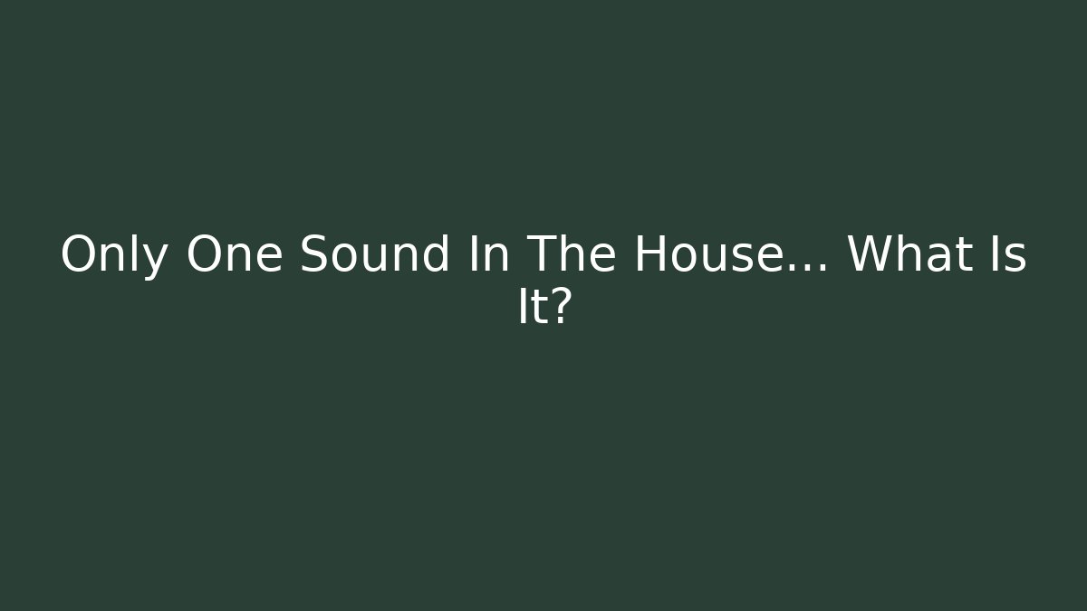 Only One Sound In The House... What Is It?