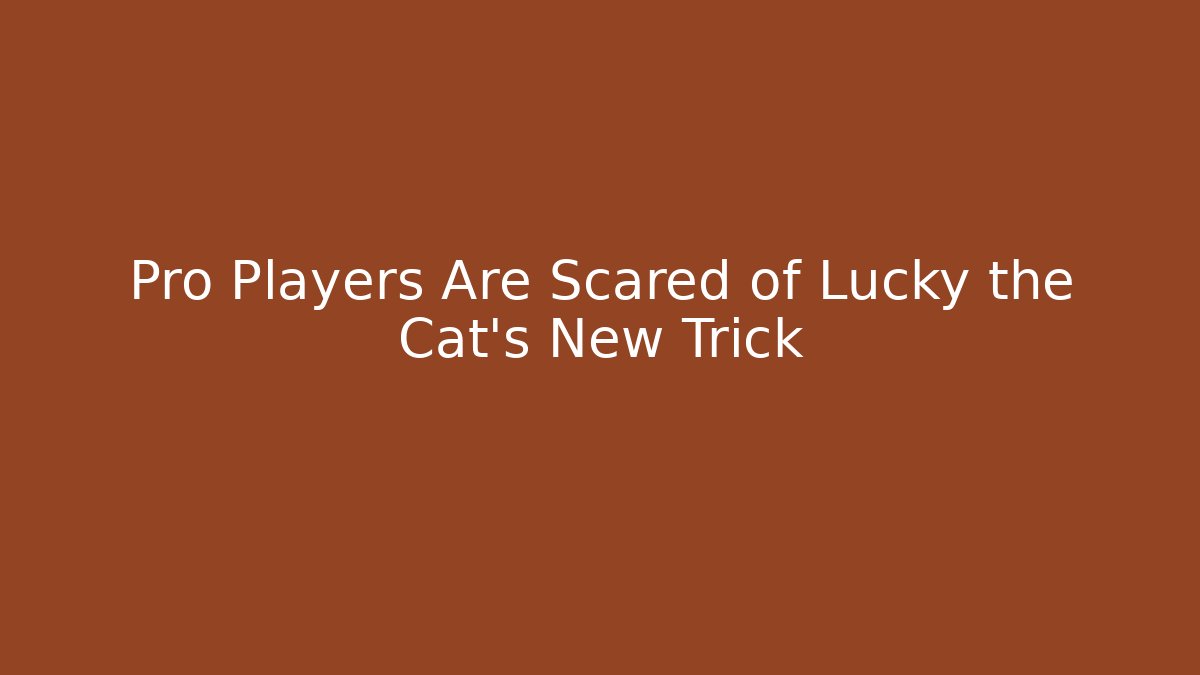 Pro Players Are Scared of Lucky the Cat's New Trick