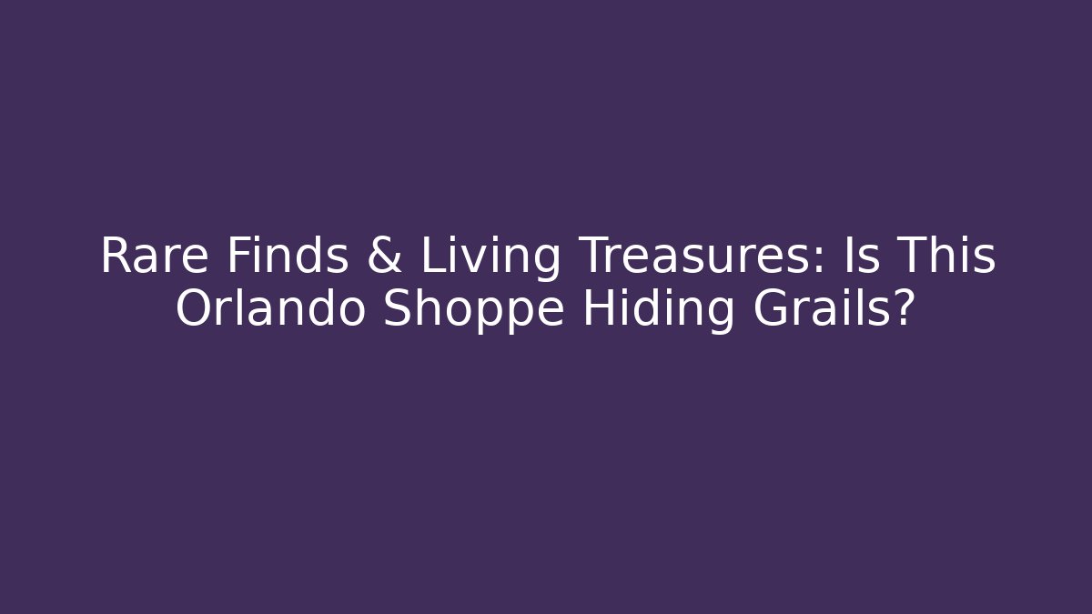 Rare Finds & Living Treasures: Is This Orlando Shoppe Hiding Grails?