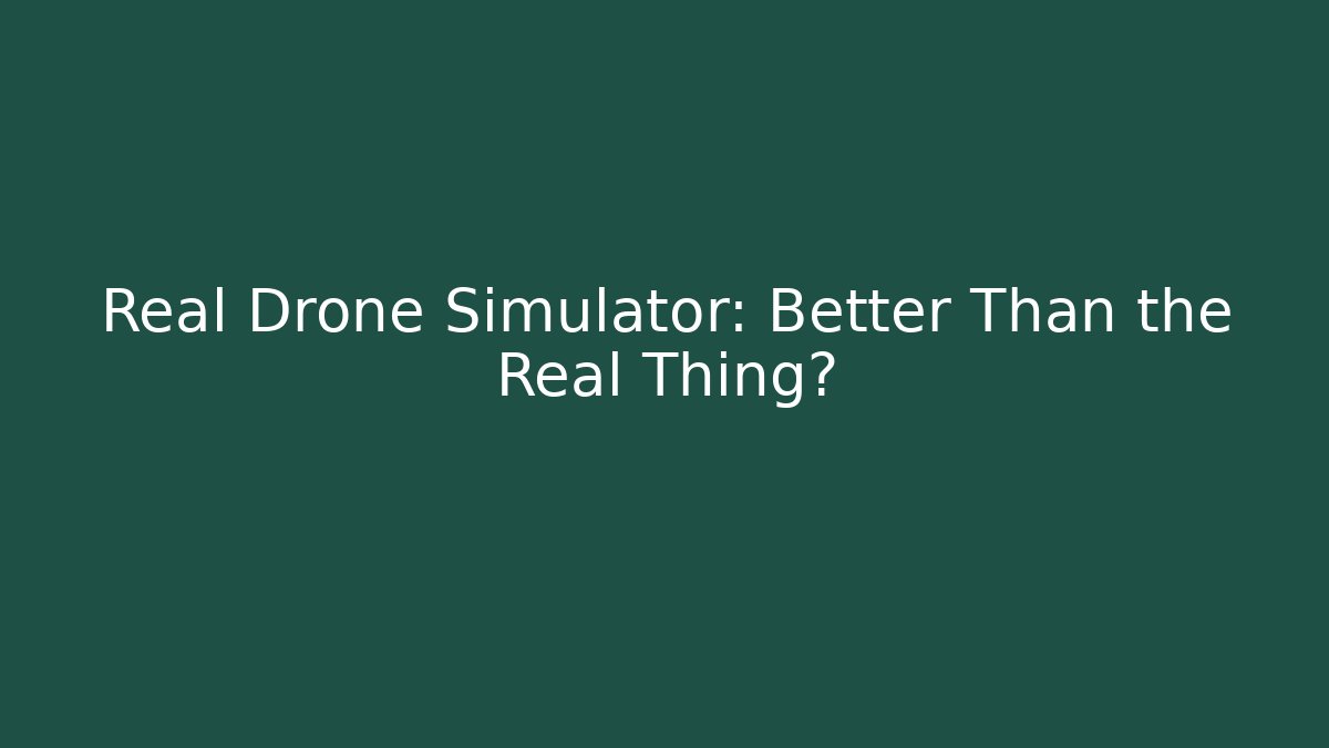 Real Drone Simulator: Better Than the Real Thing?