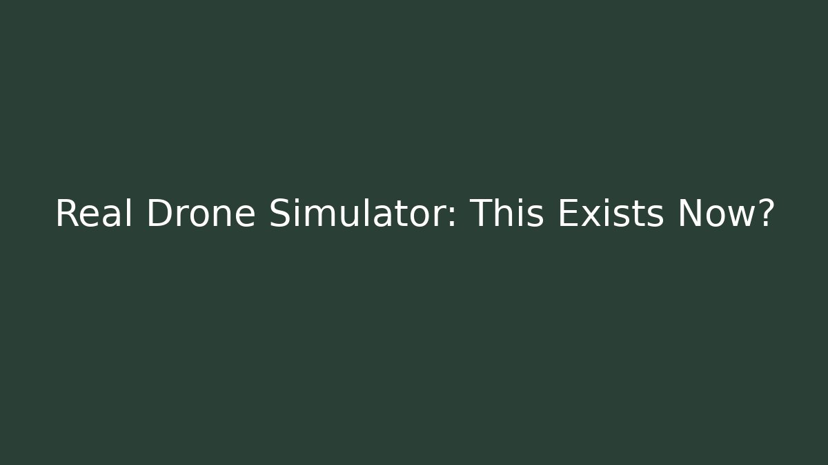 Real Drone Simulator: This Exists Now?