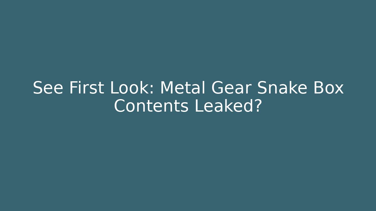 See First Look: Metal Gear Snake Box Contents Leaked?