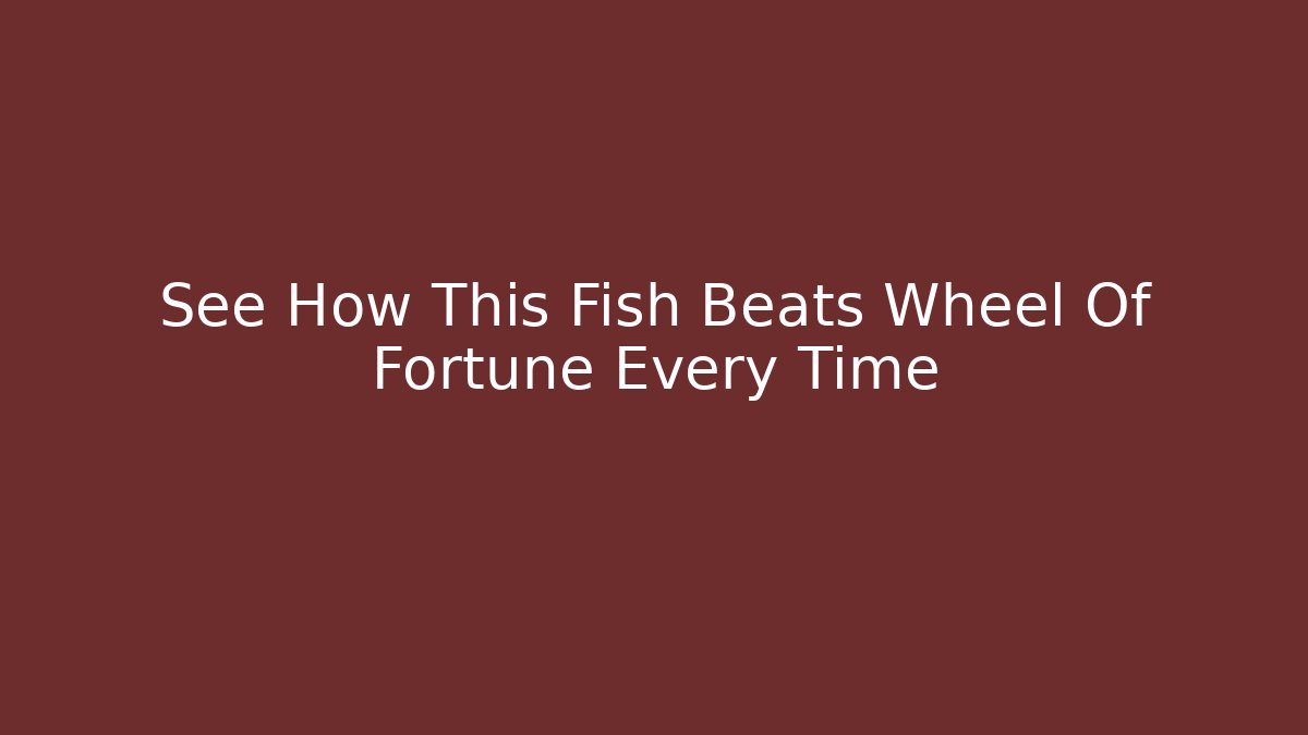 See How This Fish Beats Wheel Of Fortune Every Time