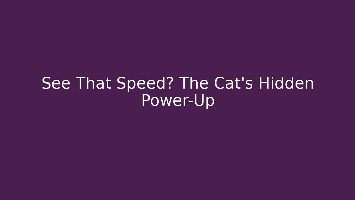 See That Speed? The Cat's Hidden Power-Up