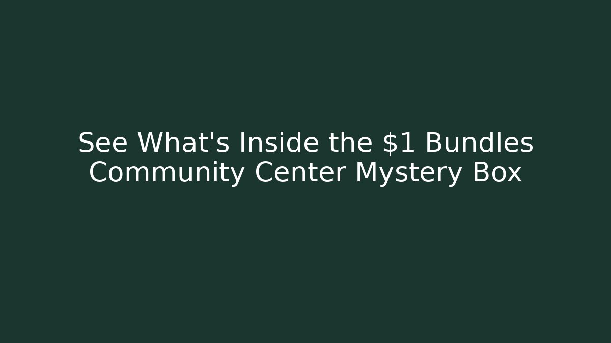 See What's Inside the $1 Bundles Community Center Mystery Box