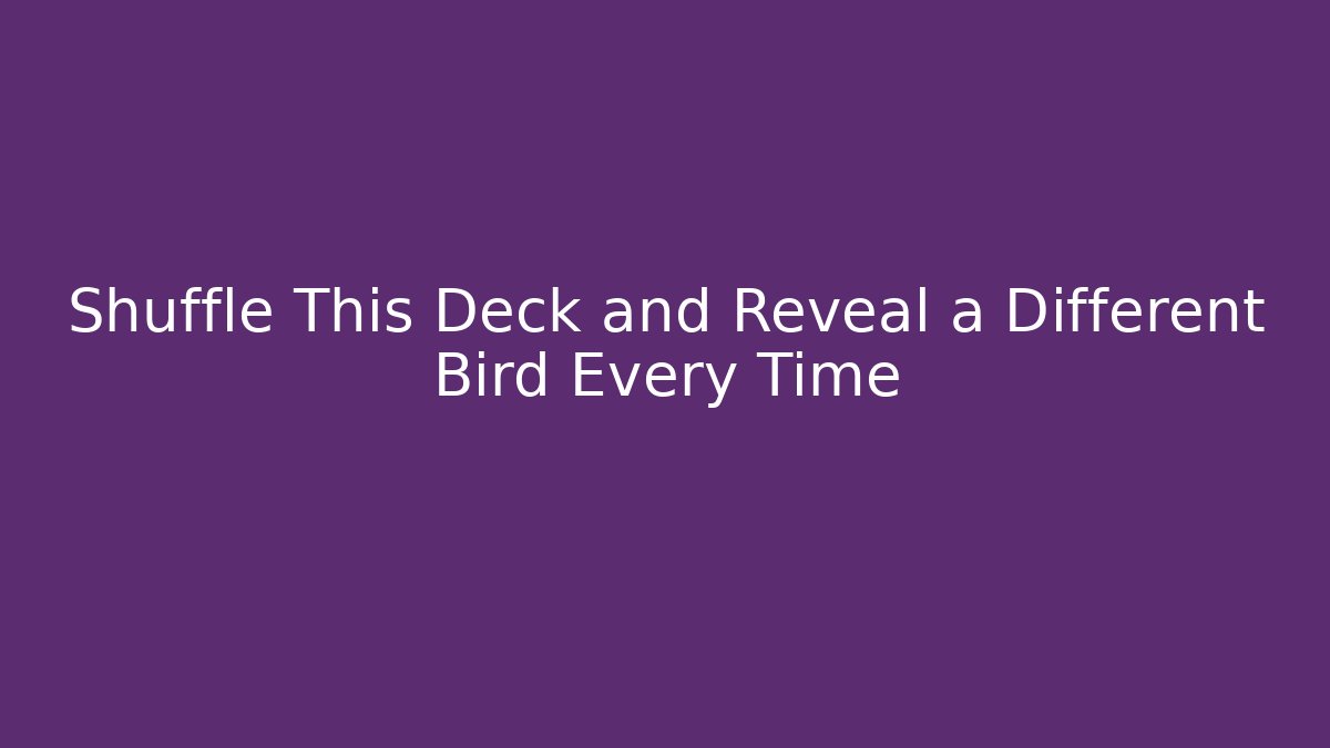 Shuffle This Deck and Reveal a Different Bird Every Time