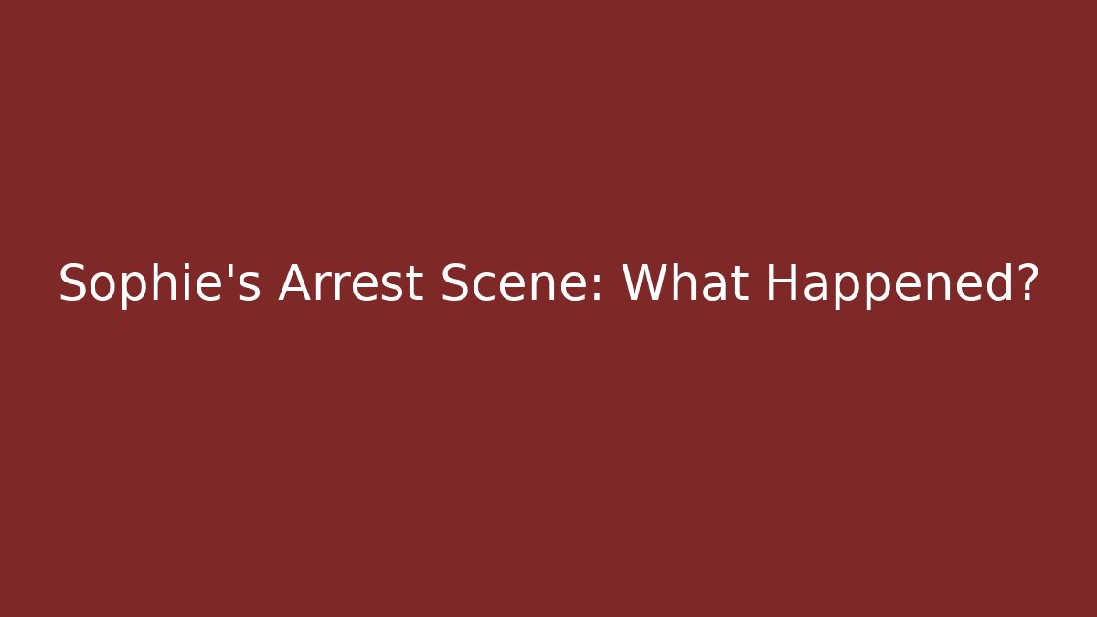 Sophie's Arrest Scene: What Happened?
