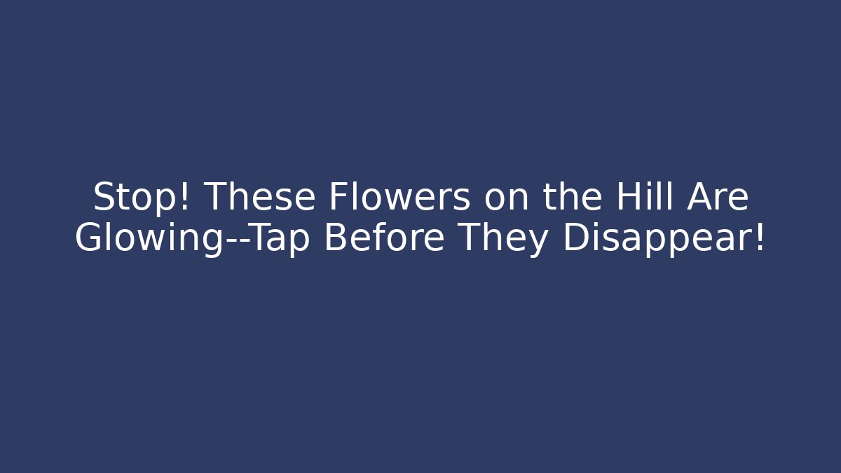 Stop! These Flowers on the Hill Are Glowing—Tap Before They Disappear!