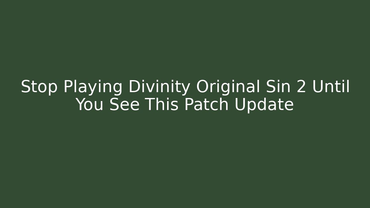 Stop Playing Divinity Original Sin 2 Until You See This Patch Update - Método de Aprovação