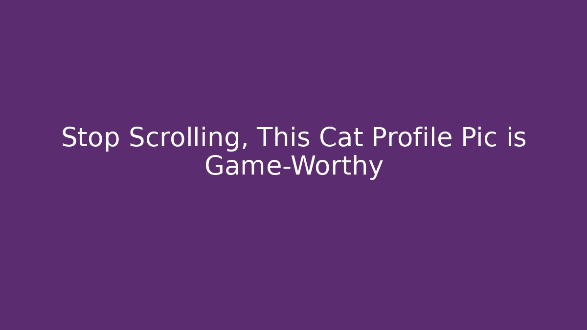 Stop Scrolling, This Cat Profile Pic is Game-Worthy